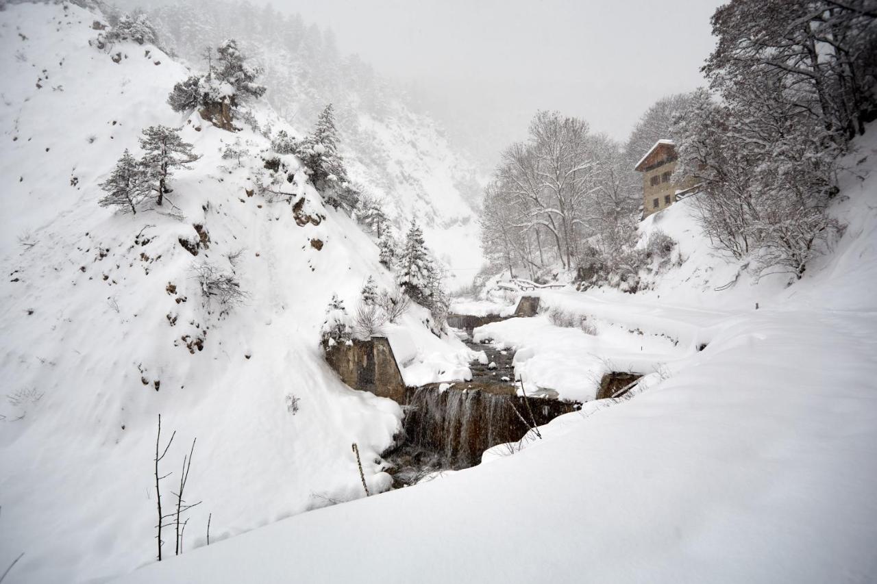 Casa Cadore Lozzo Cadore 외부 사진