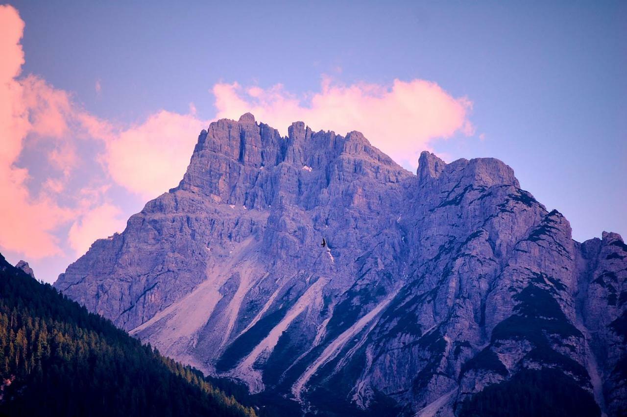 Casa Cadore Lozzo Cadore 외부 사진